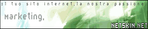 Netskin
