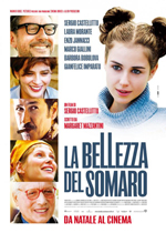 LA BELLEZZA DEL SOMARO