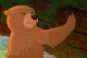 BROTHER BEAR