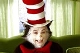 THE CAT IN THE HAT